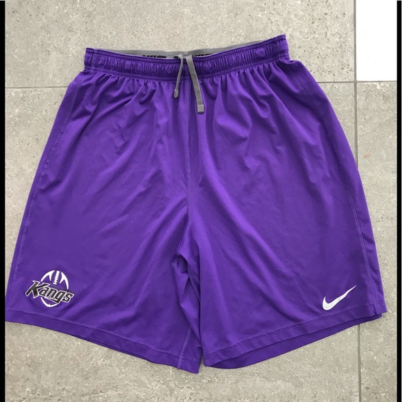 Nike Other - 🌝NIKE dri-fit purple shorts